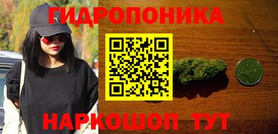 стаф Михайловск