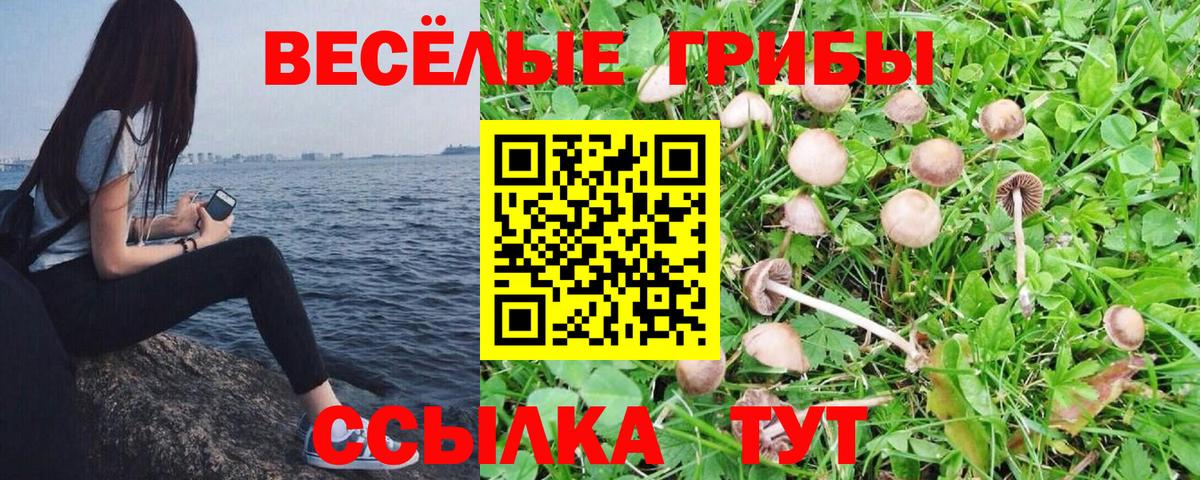 Псилоцибиновые грибы Magic Shrooms Верхний Уфалей