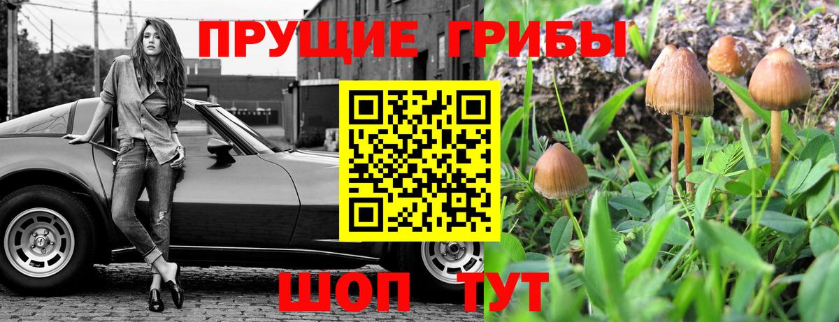 где купить   Псилоцибиновые грибы прущие грибы  Вход с VPN  Псилоцибиновые грибы Psilocybine cubensis  Верхний Уфалей 